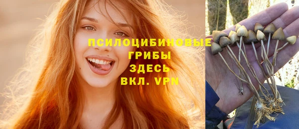 синтетический гашиш Белокуриха