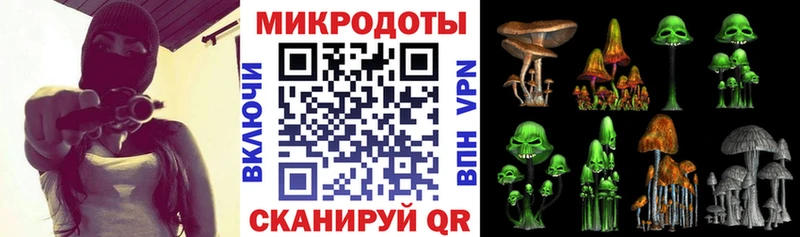 Галлюциногенные грибы Psilocybine cubensis  omg как войти  Шадринск 