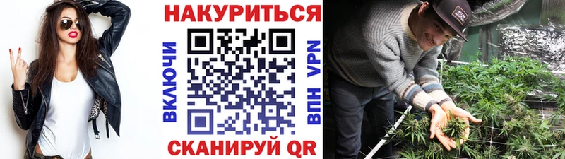 Шишки марихуана марихуана  Шадринск 